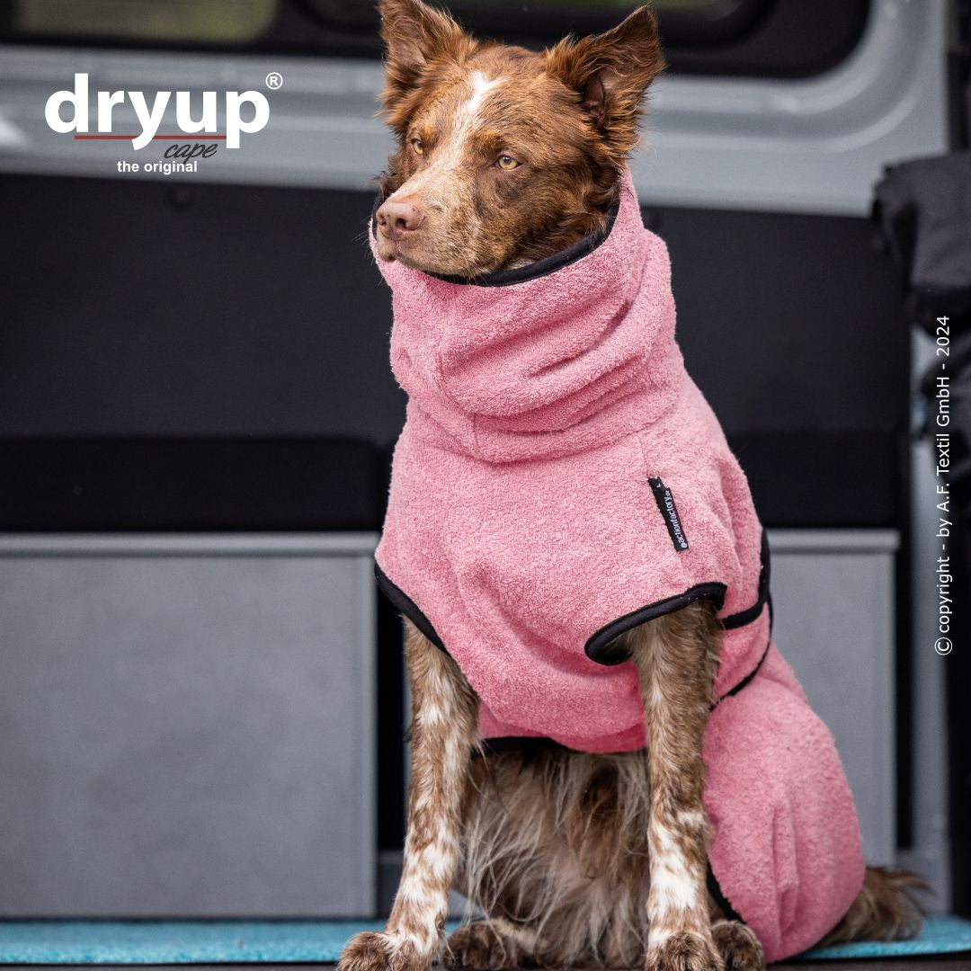 Dryup cape - Rosé